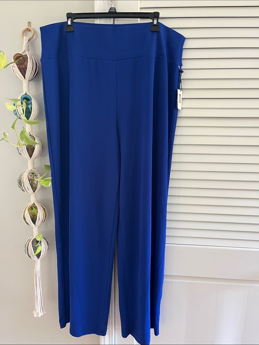 Anne Klein Royal Blue Wide-Leg Pull-On Pants